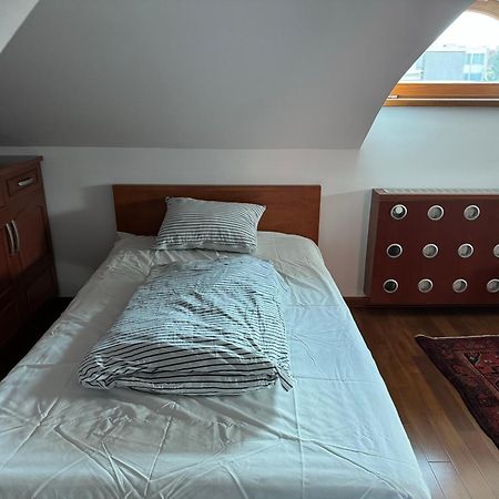 Vila Majda Elegant Apartments With Prime Location And Parking Ljubljana Eksteriør bilde